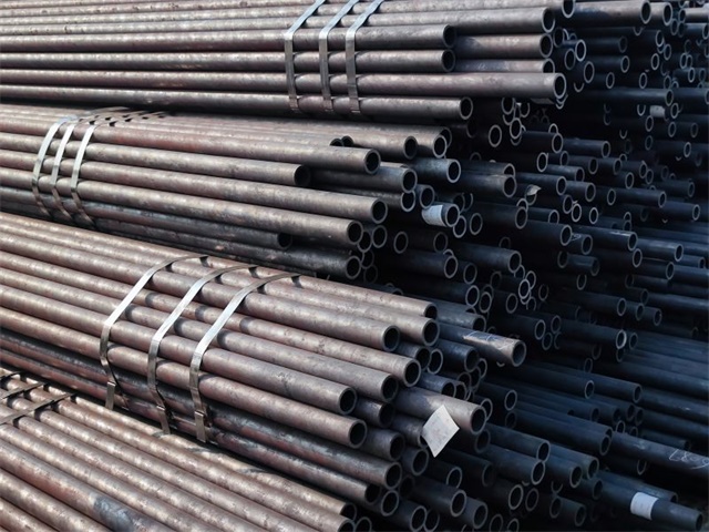 IMG_20230401_155611.jpg IMG_20230401_155611.jpg