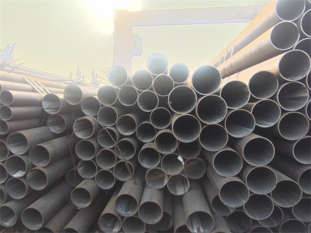 IMG_20230401_153101.jpg IMG_20230401_153101.jpg